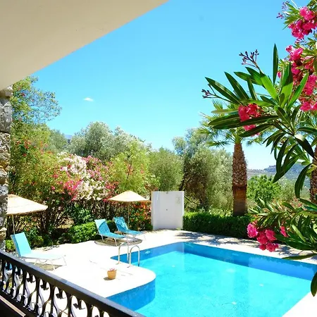 Derekoy Salmakis Villa Bodrum